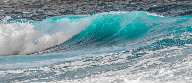 Surfing